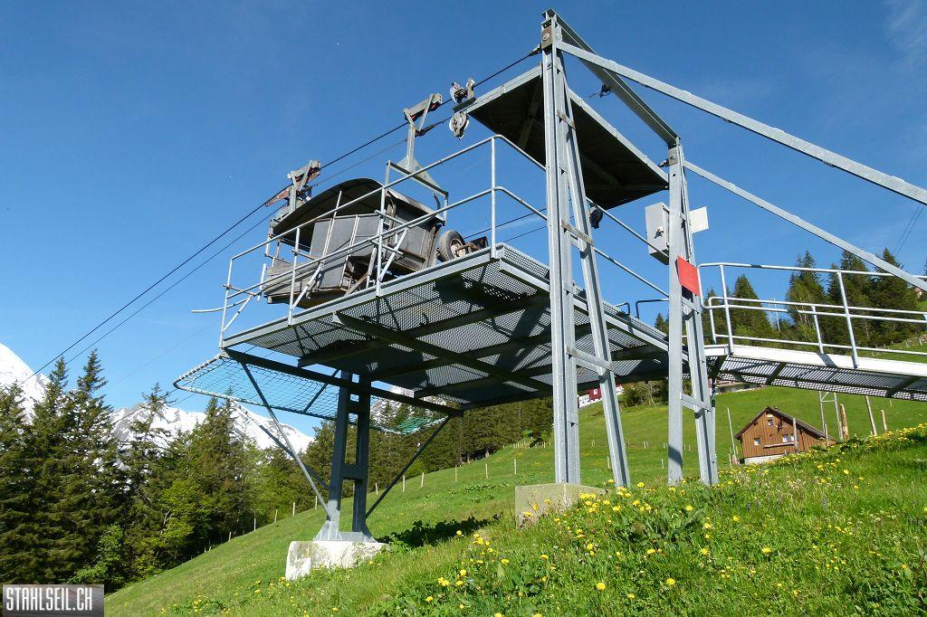 800P-P1490540.JPG