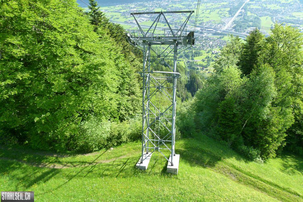 800P-P1490514.JPG