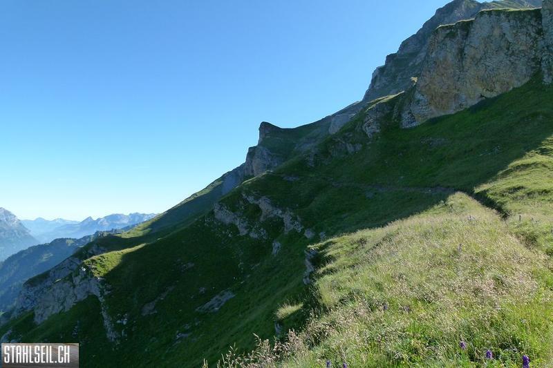 k-P1510349.JPG