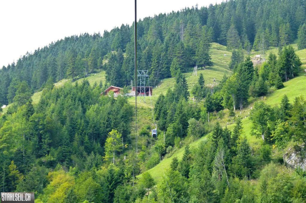 k-P1530458.JPG