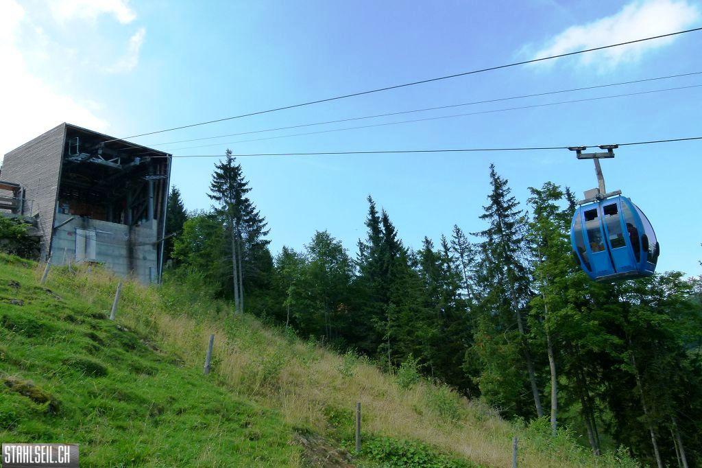 k-P1510995.JPG