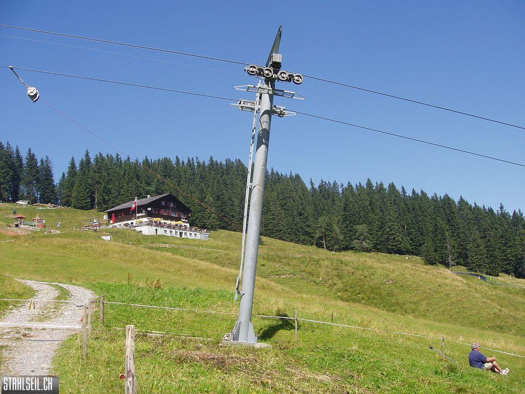 k-P8170167.JPG