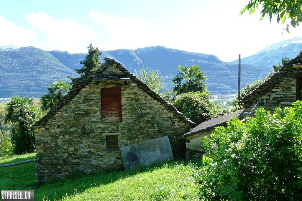 k-P1530887.JPG