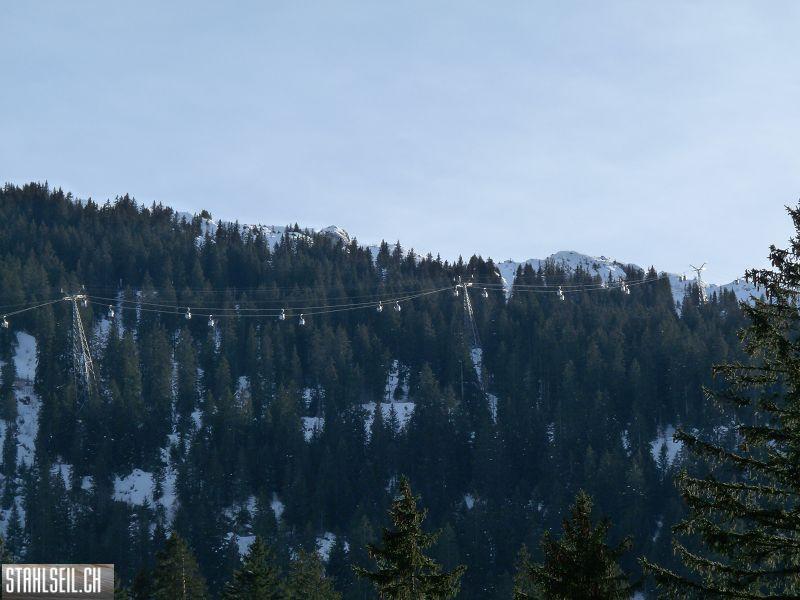k-P1270760.JPG