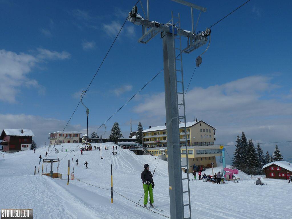 k-P1300975.JPG