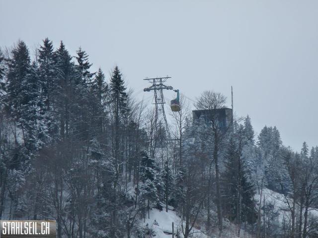 k-P1310058.JPG