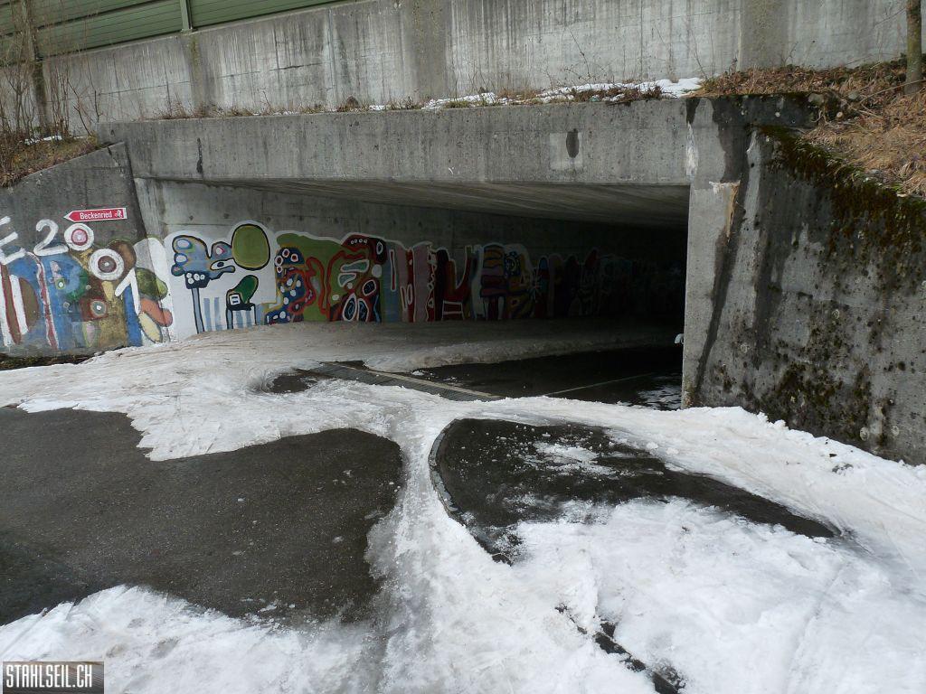 k-P1310071.JPG