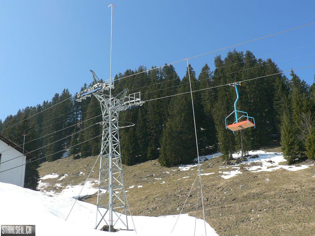 k-P1310107.JPG