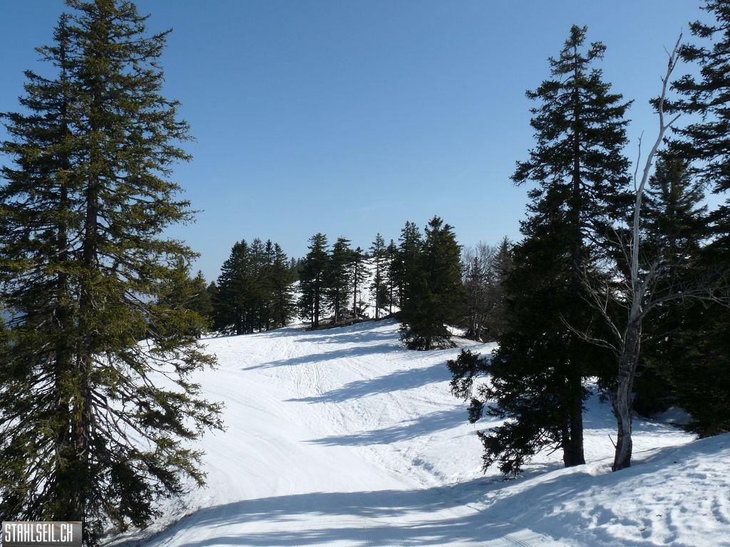 k-P1110400.JPG