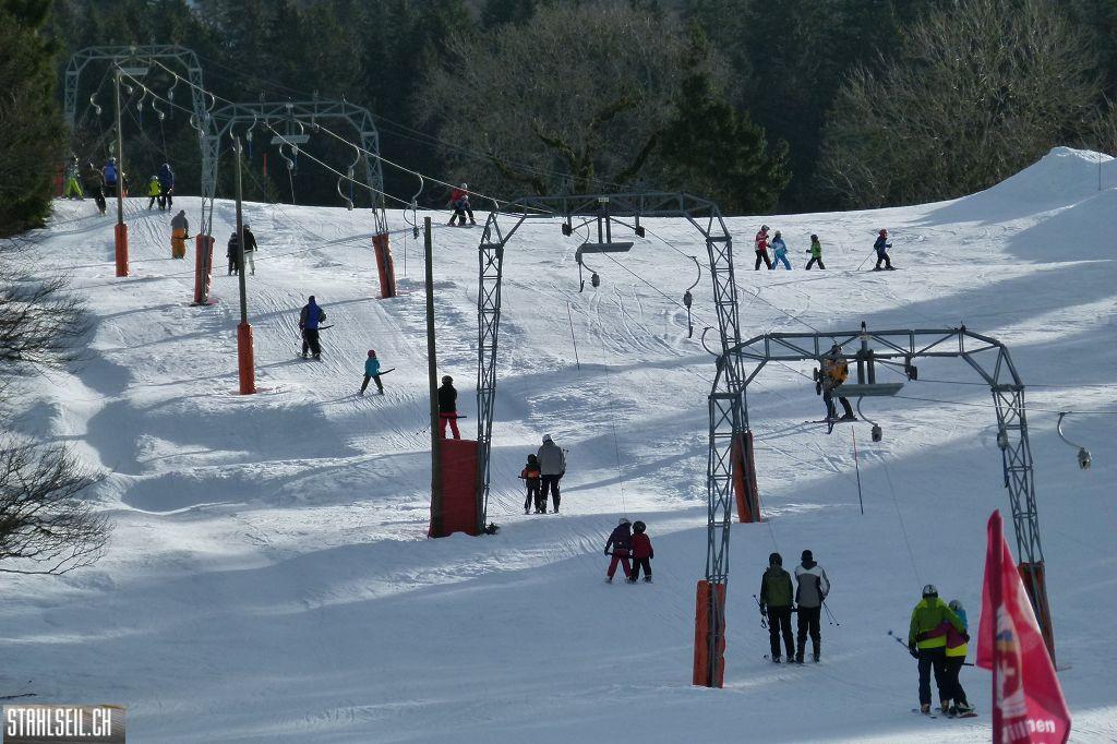 k-P1430924.JPG