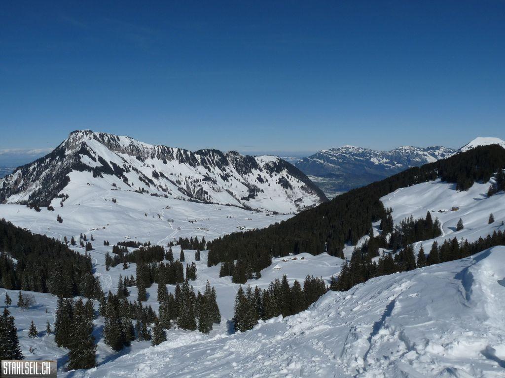 k-P1310564.JPG