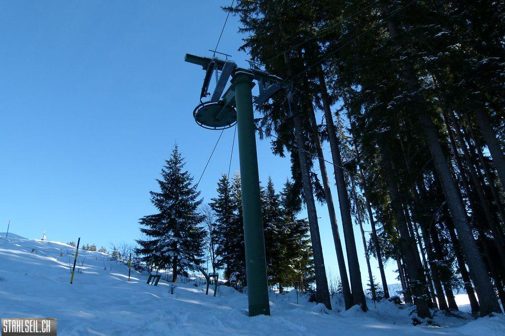 k-P1550991.JPG