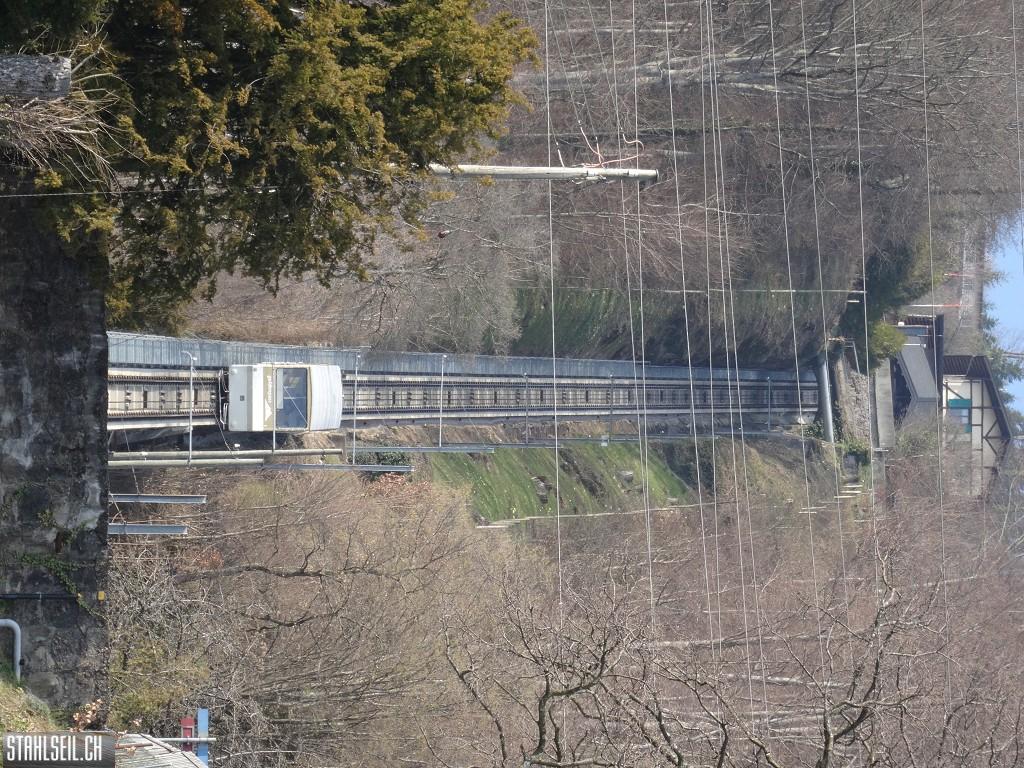 k-DSC05837.JPG