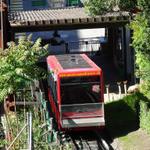 k-DSC06384.JPG