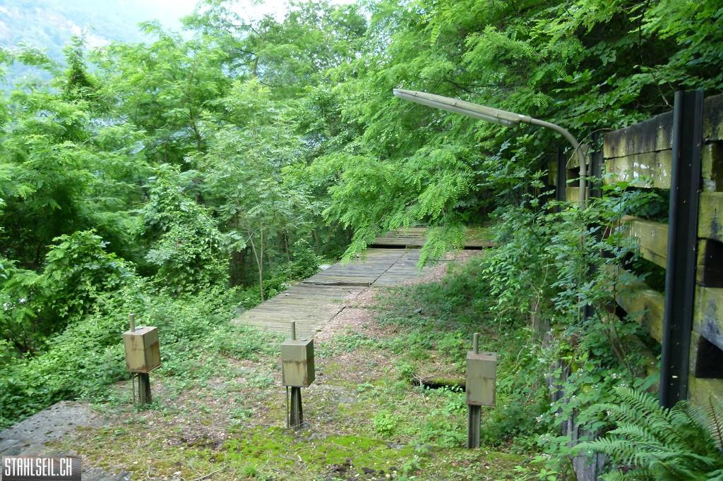 k-P1490871.JPG
