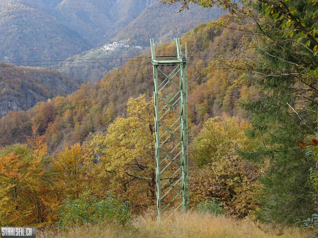 k-DSC05697.JPG