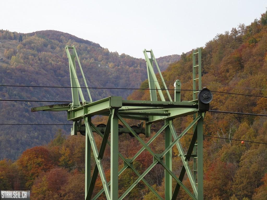 k-DSC05699.JPG