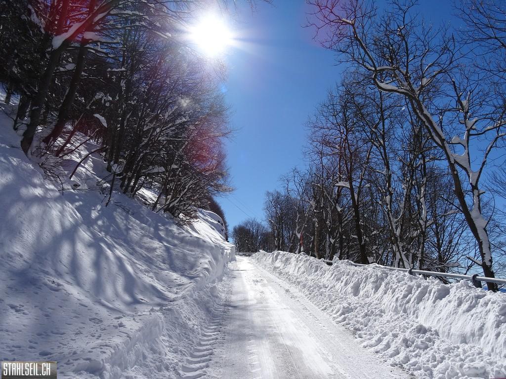 k-DSC08010.JPG