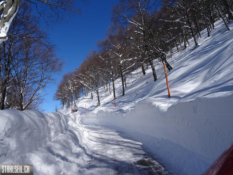 k-DSC08015.JPG