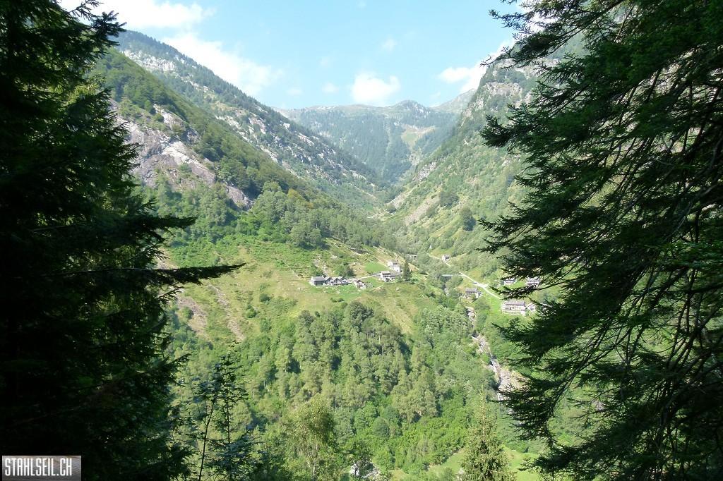 k-k-P1580748.JPG