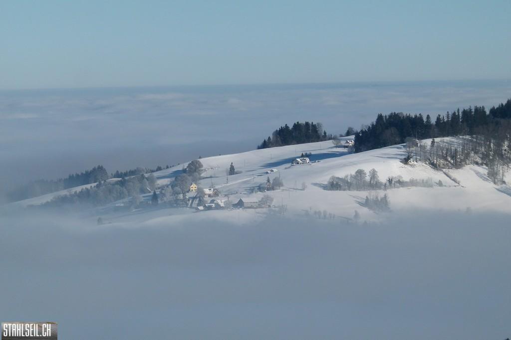 k-P1630270.JPG