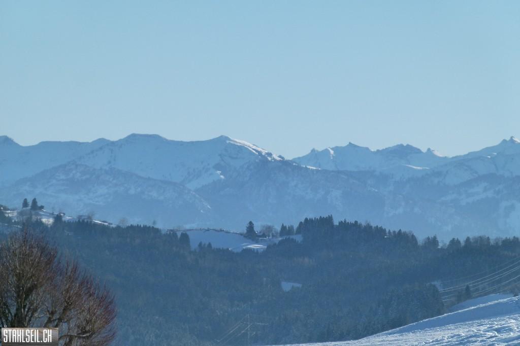 k-P1630279.JPG