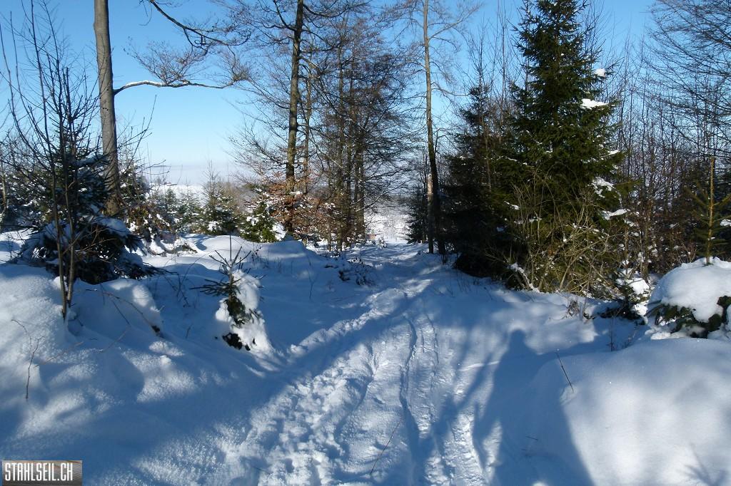 k-P1630323.JPG