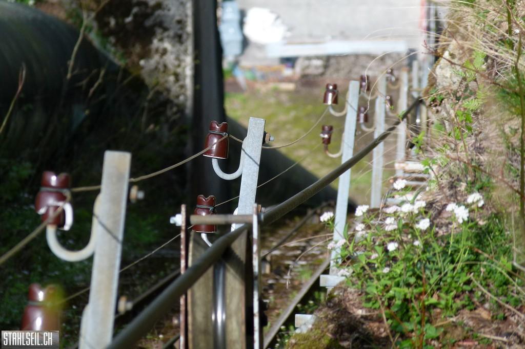 k-P1660495.JPG
