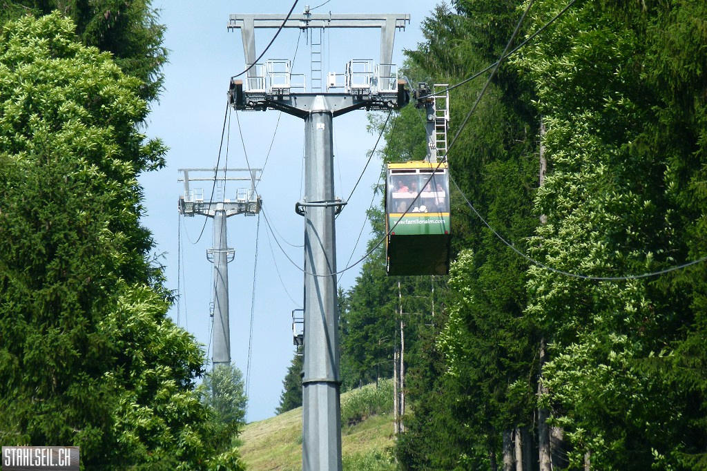k-P1680154.JPG