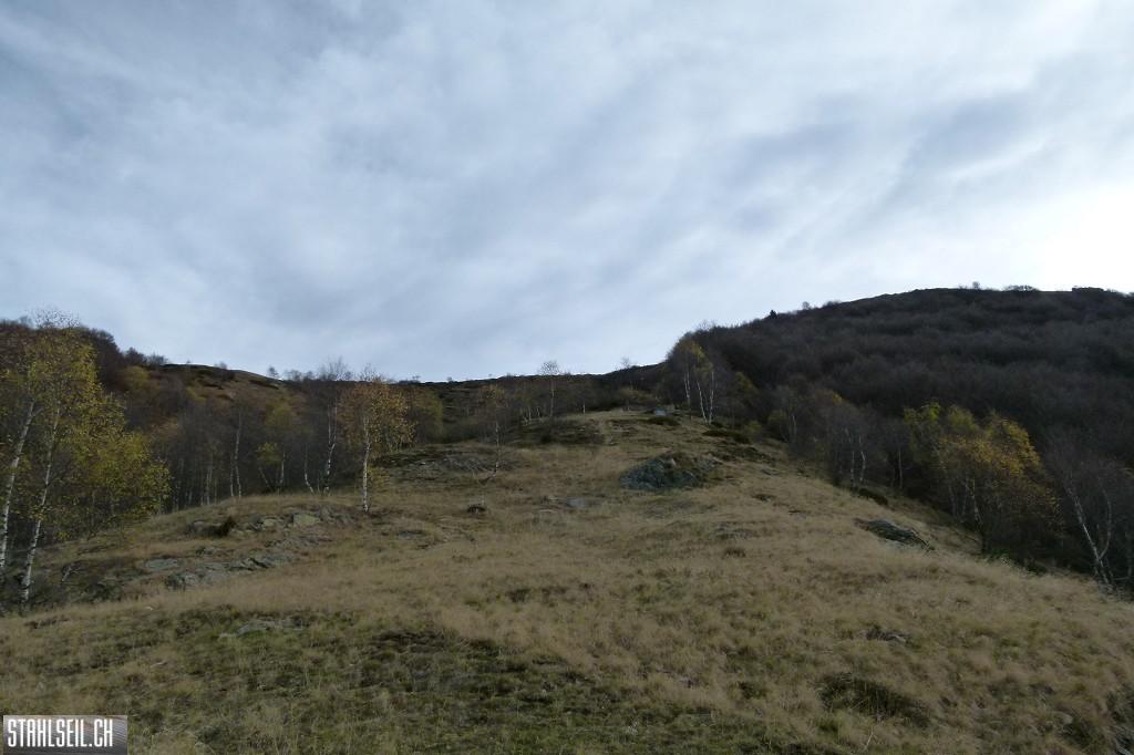 k-P1710055.JPG