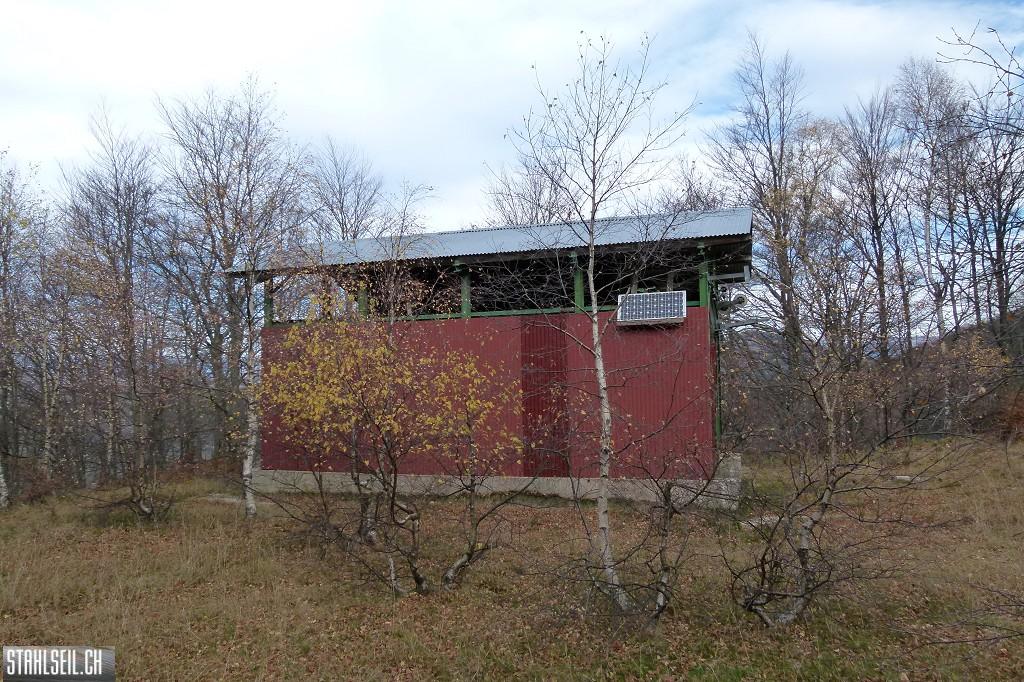 k-P1710067.JPG