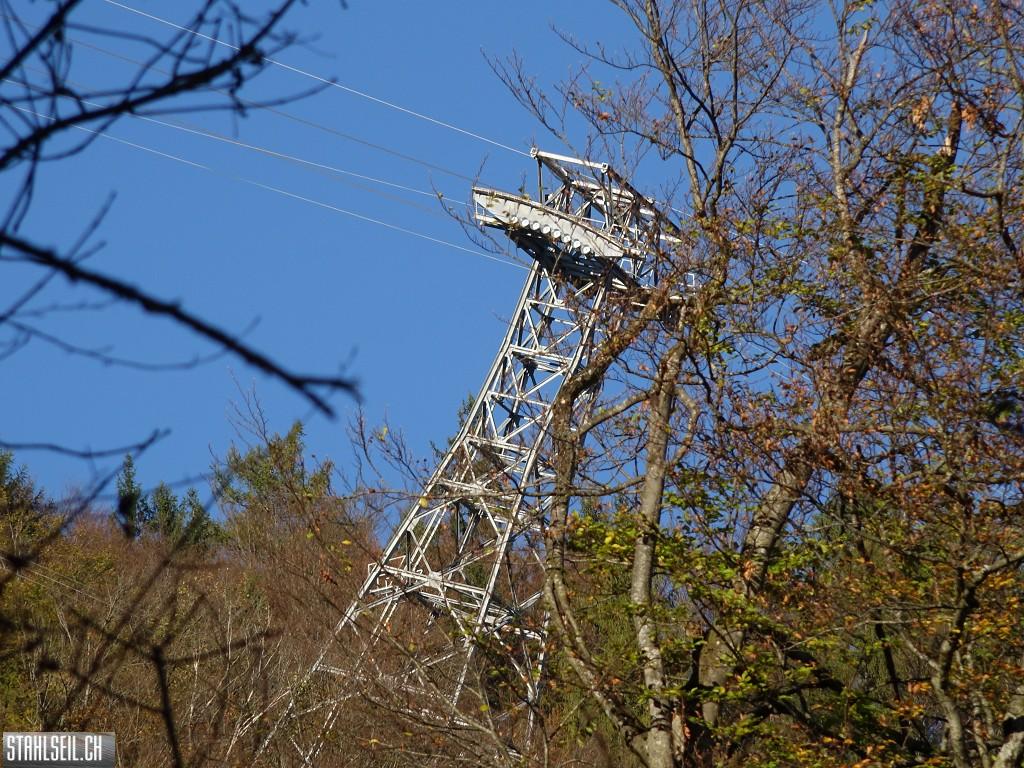 k-DSC06869.JPG