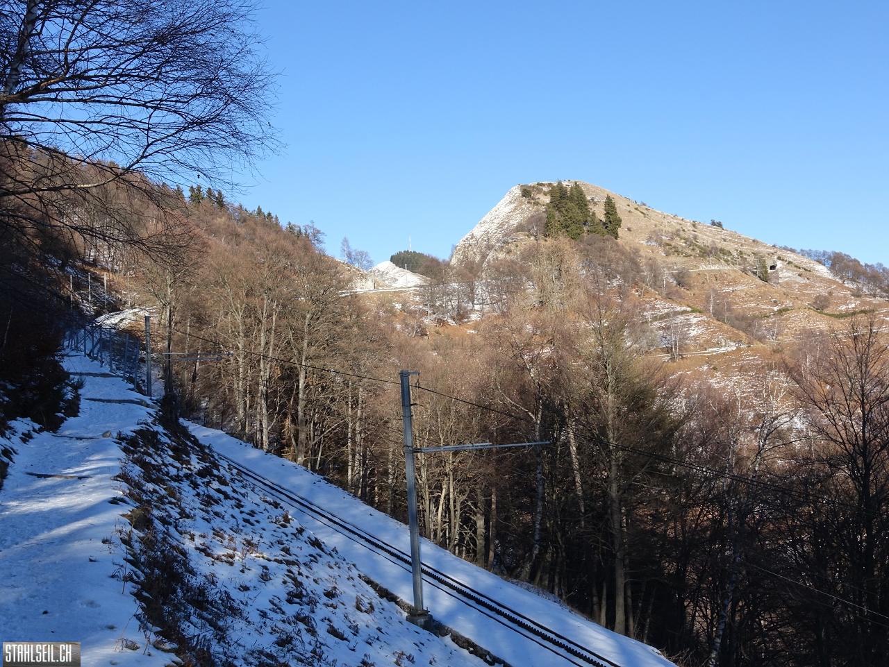 DSC07778.JPG