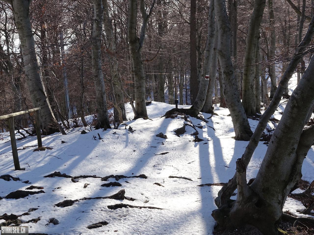 DSC07788.JPG