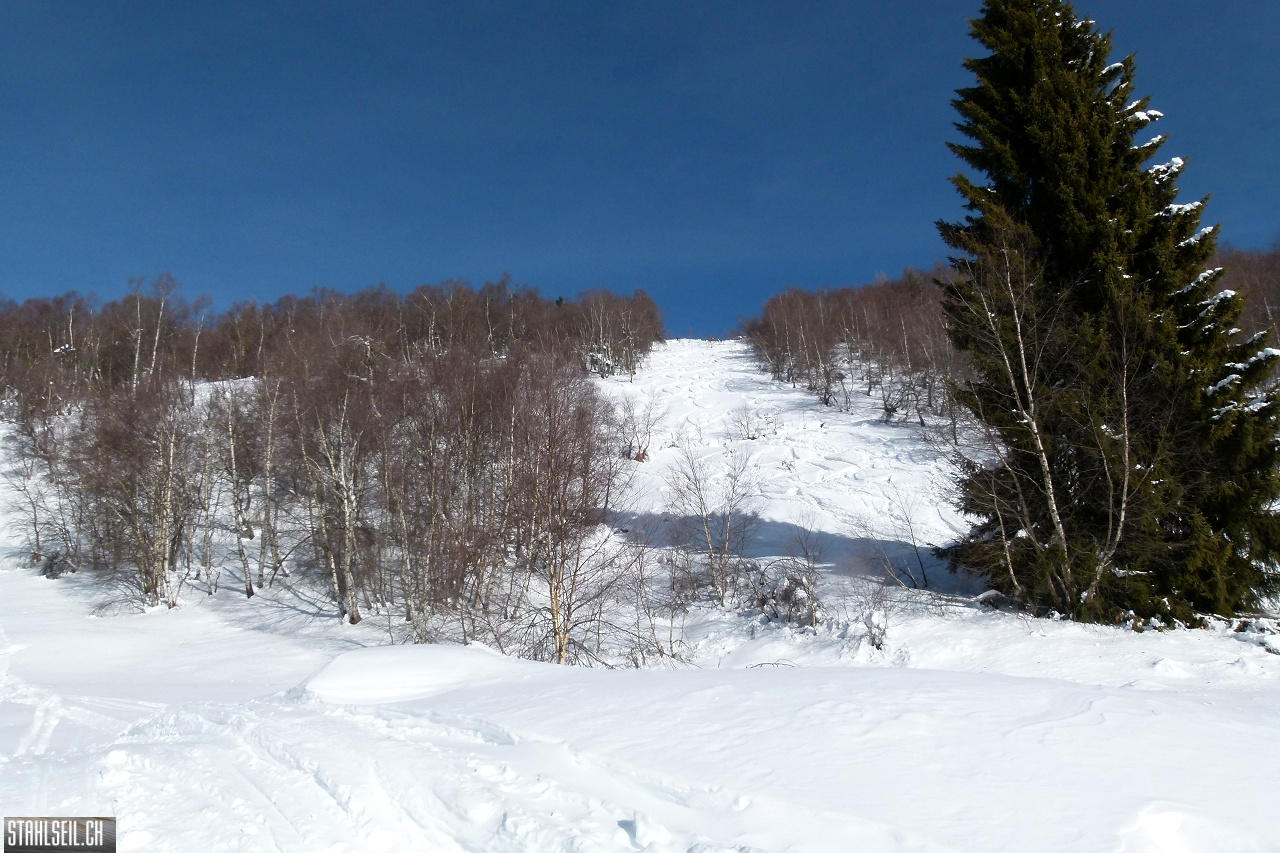 P1720363.JPG