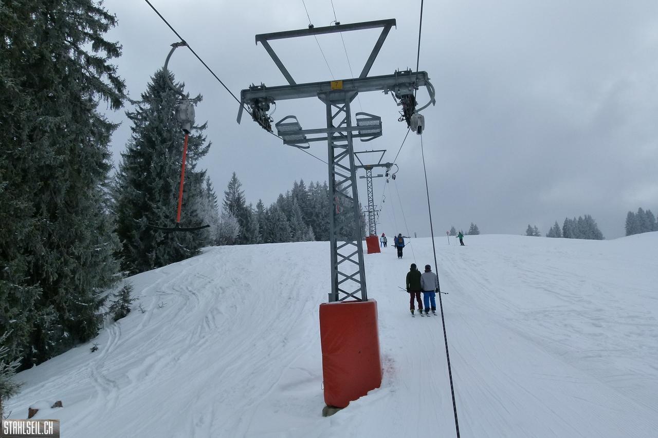 P1750753.JPG