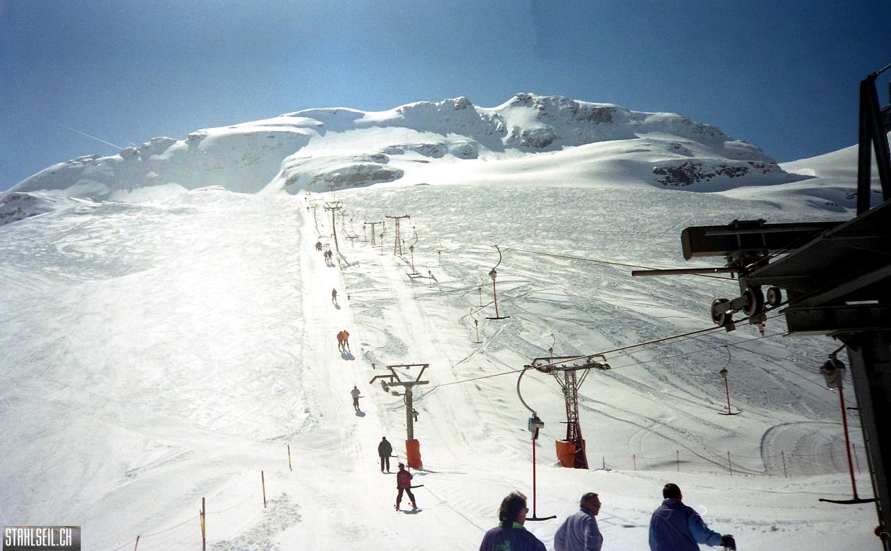 img213.jpg