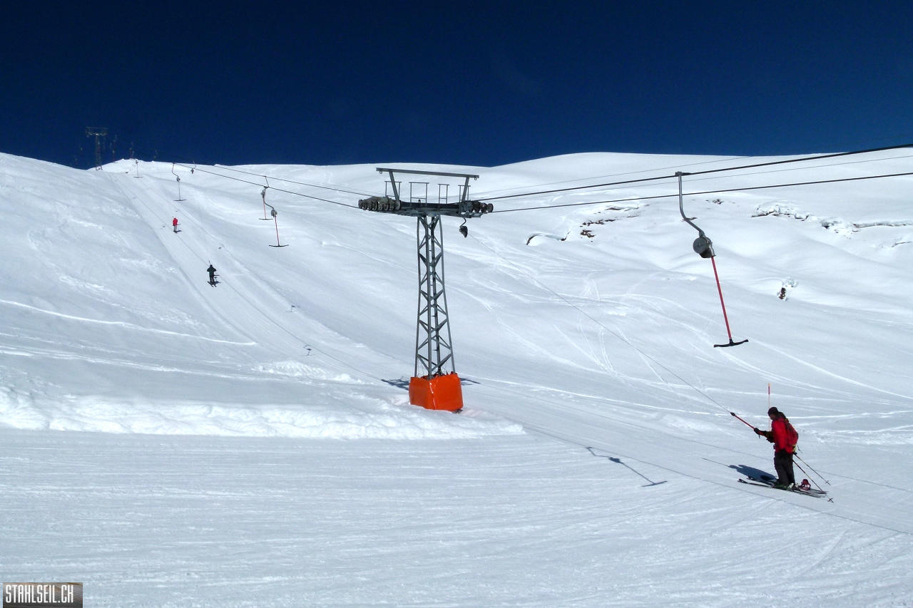 P1780175.JPG