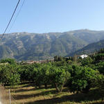 DSC04174.JPG