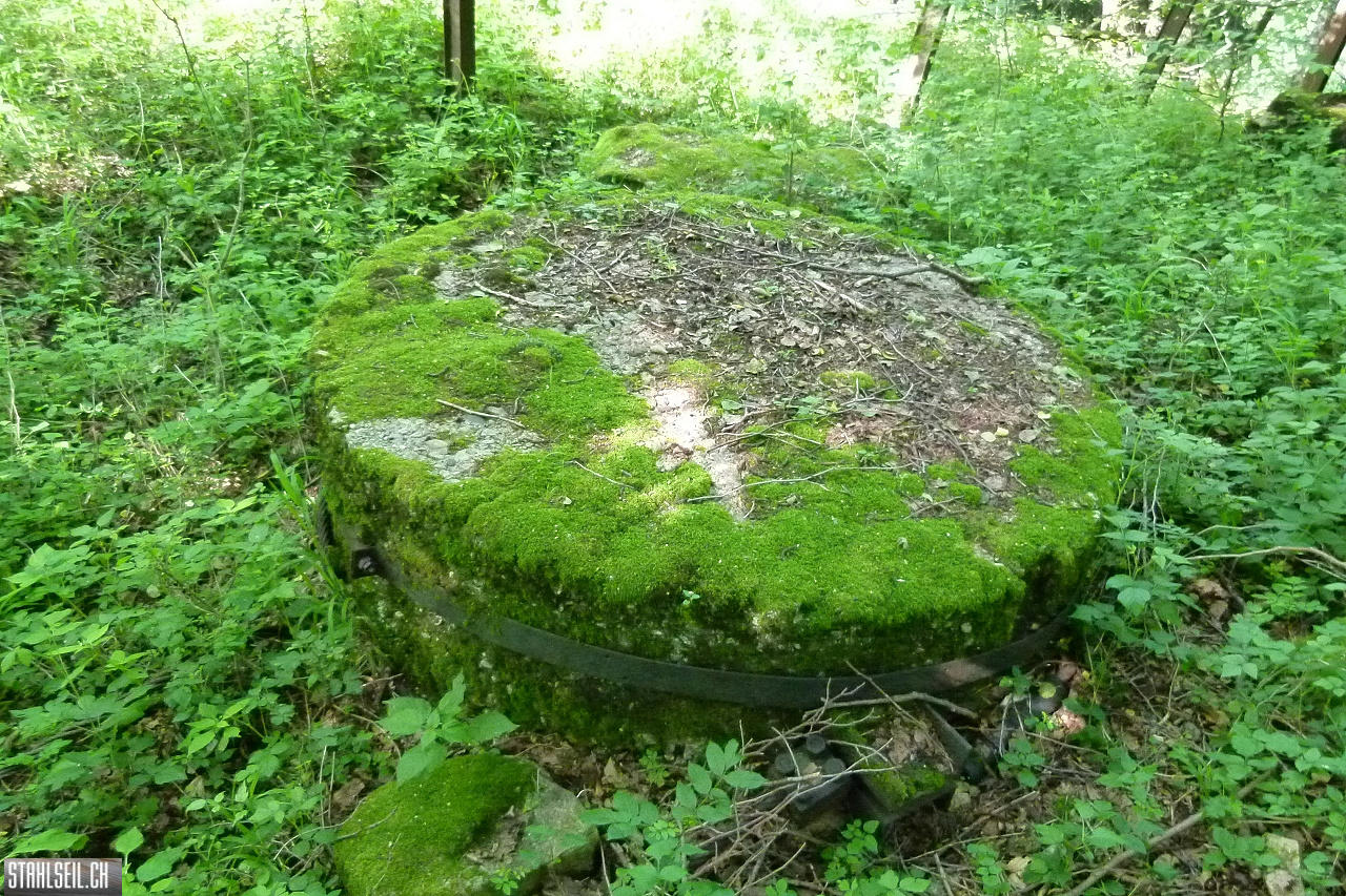 P1810464.JPG