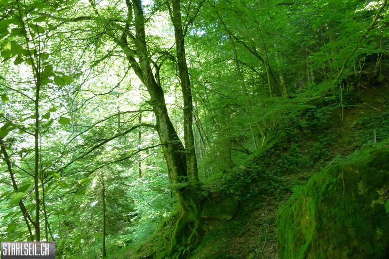 P1810543.JPG