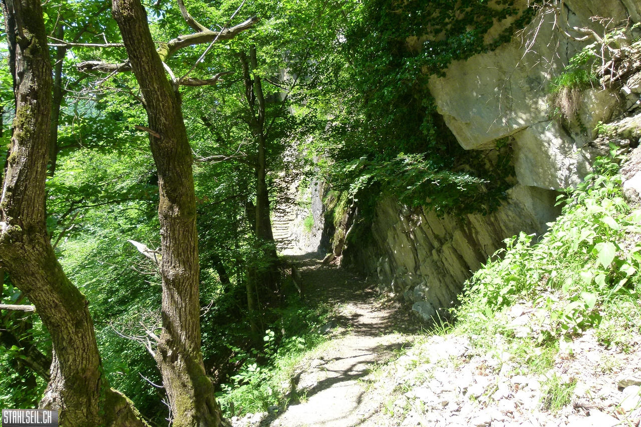 P1810581.JPG