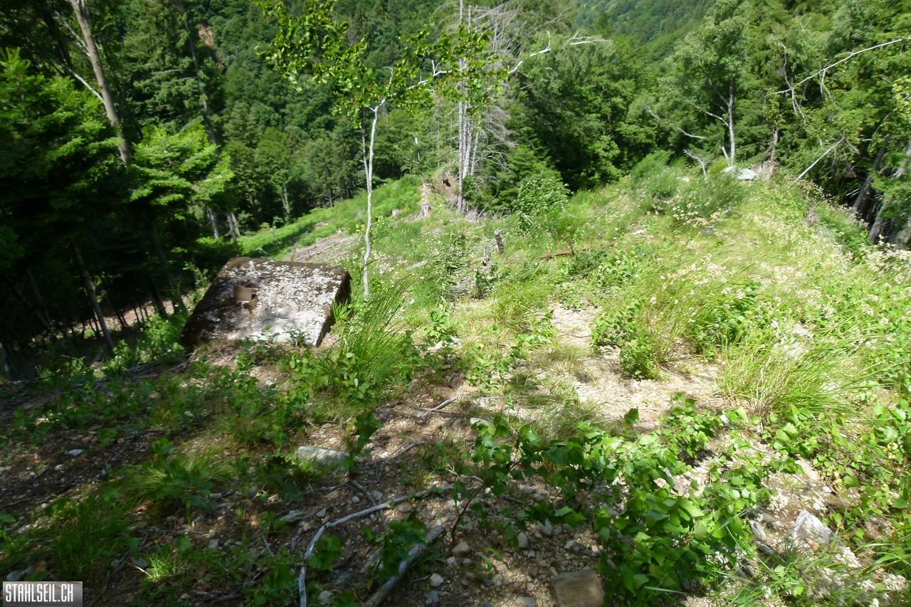 P1810656.JPG