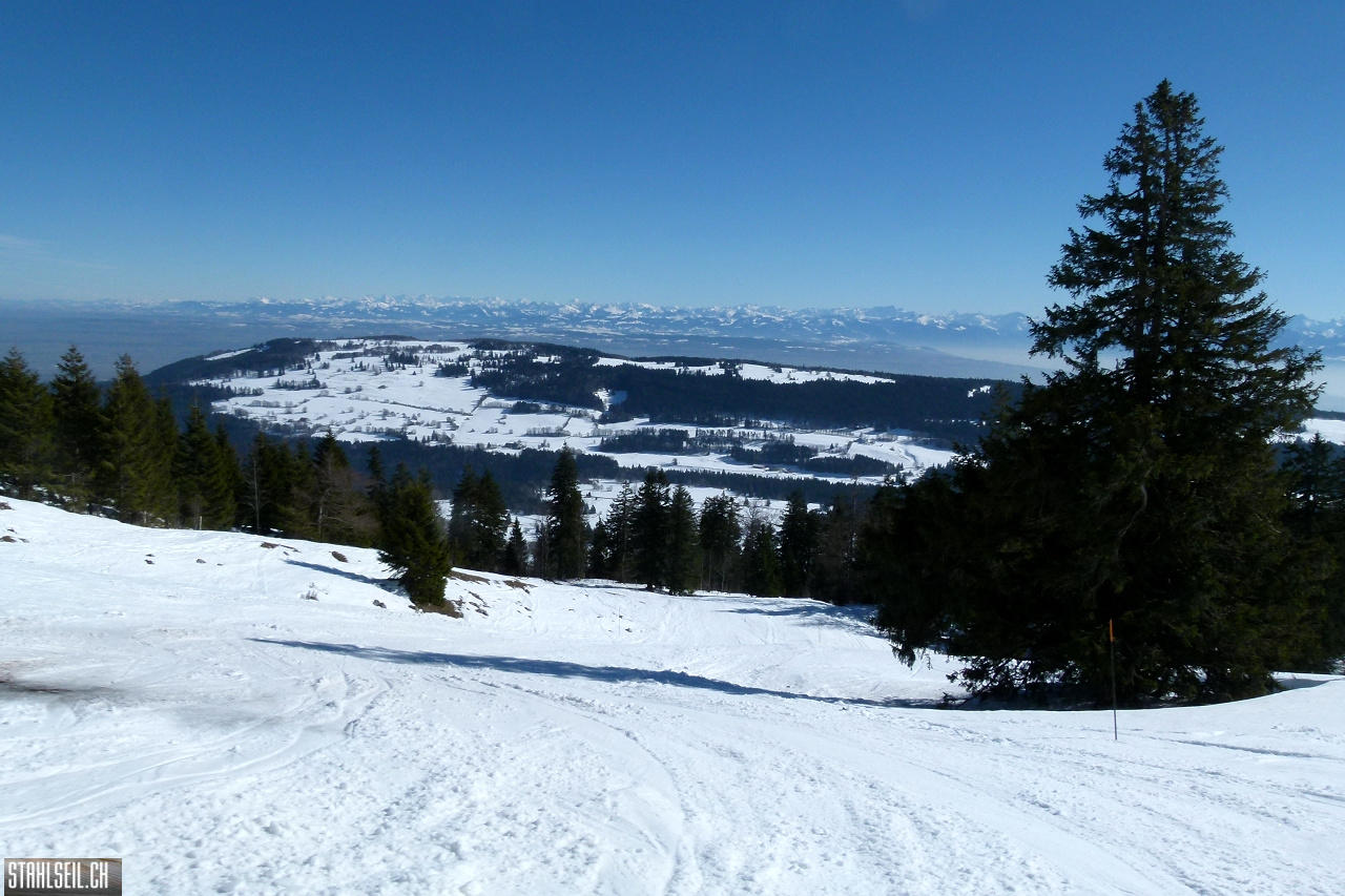 P1830744.JPG