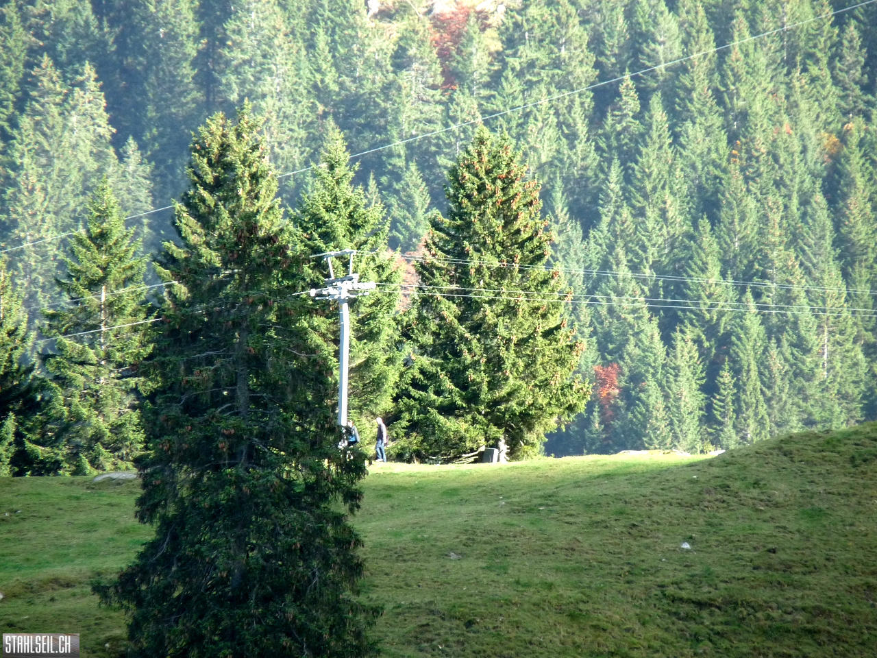 P1480981.JPG