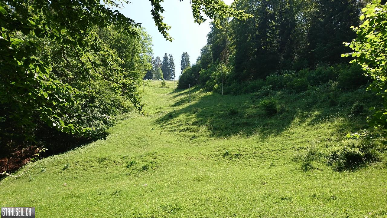 DSC_0064.JPG