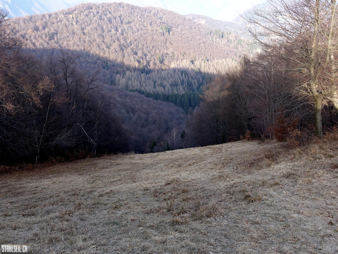 DSC01058.JPG