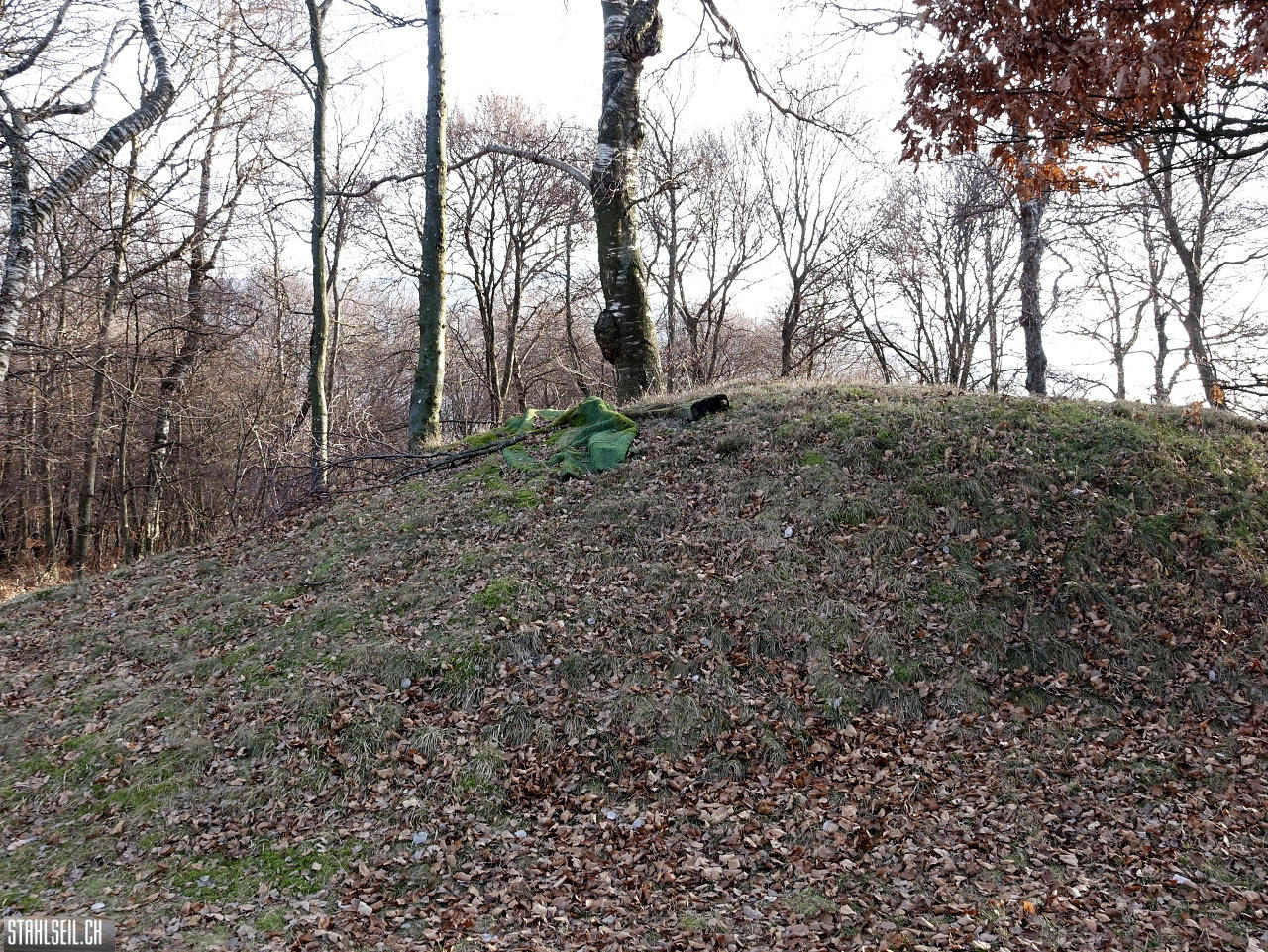 DSC01078.JPG