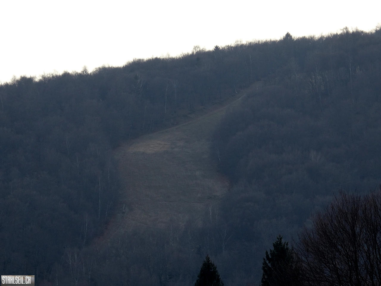 DSC01127.JPG