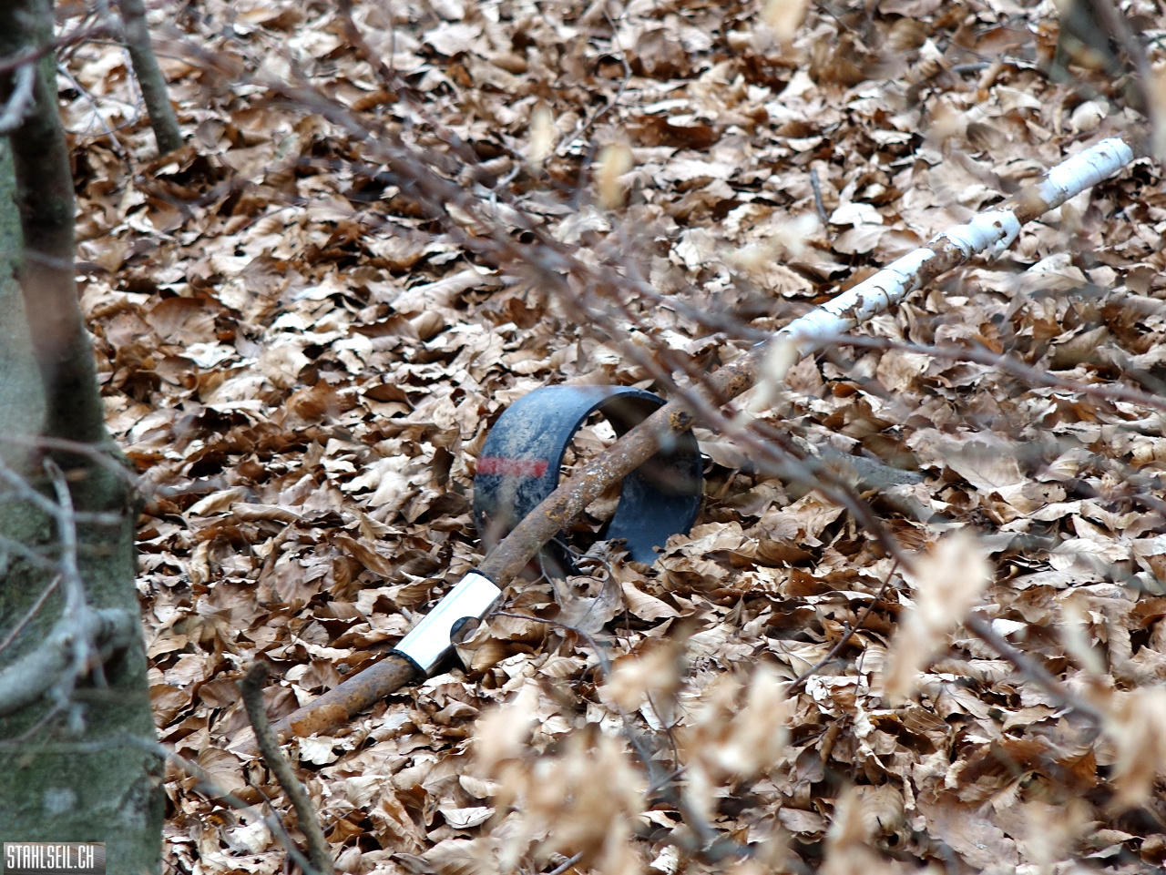 DSC01170.JPG